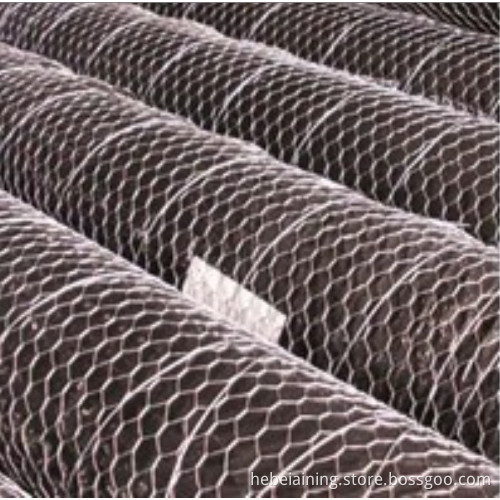 hexagonal wire mesh